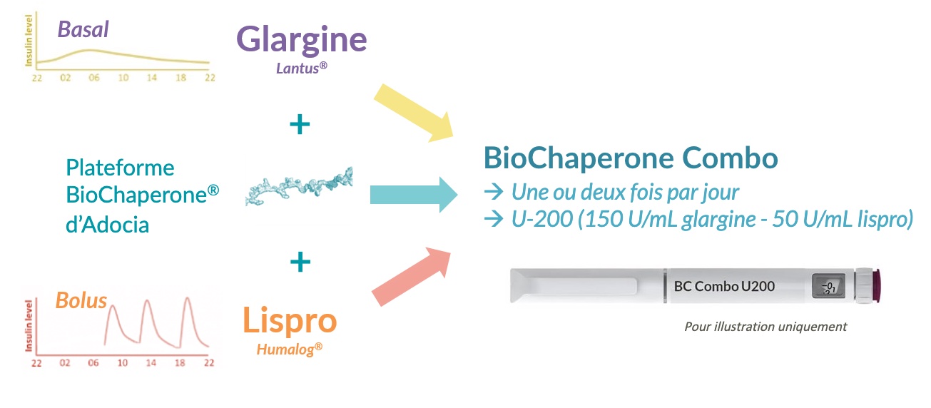 BioChaperone Combo